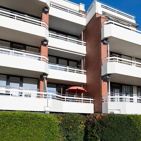 Belvedere Strandrose *
