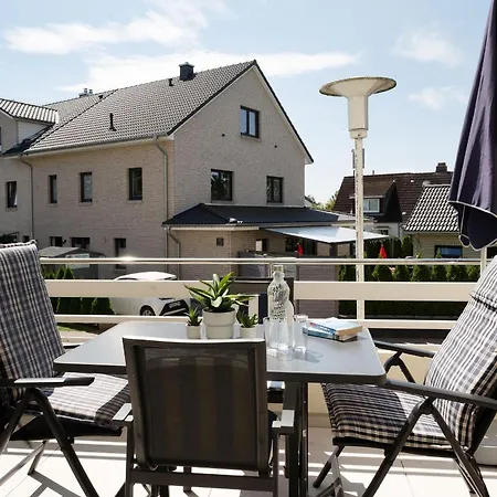 Belvedere Strandrose *