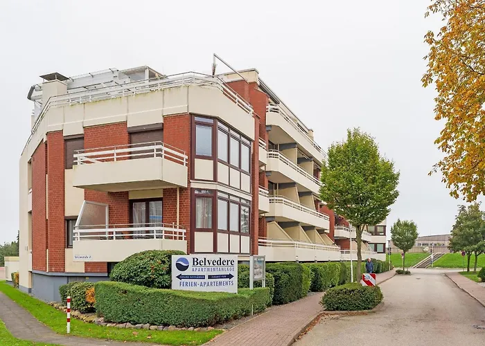 Belvedere Strandrose *