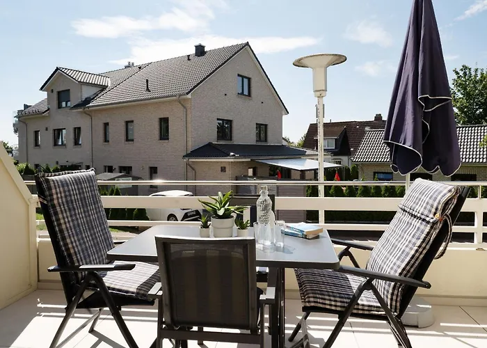 Belvedere Strandrose *